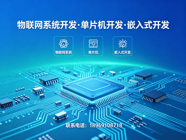 常州嵌入式Linux开发物联网数据可视化解决方案